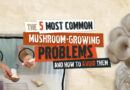 he 5 Most Common Mushroom-Growing Problems