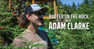 HVAC 101: Helpful Q&A on Heat & Humidity Control