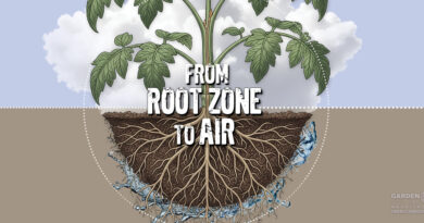 Managing Internal Water Flow and VPD 101